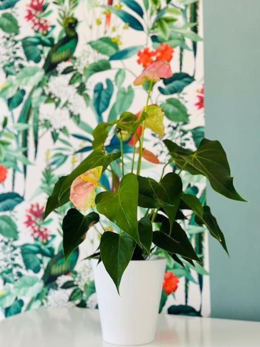 Le Jardin Secret - Jardin/Loire Appartement Tours Buitenkant foto